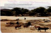 Beating the Odds in Arid Africa. - Gettysburg Collegedperry/Class Readings Scanned...Beating the Odds in Arid Africa When drought brought thousands of East Africans tofamine camps,