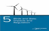 New York Wind Energy Guide for Local Decision Makers: Birds … · 2017-06-23 · New York Wind Energy Guide for Local Decision Makers: Birds and Bats: Impacts and Regulation. 2 ...