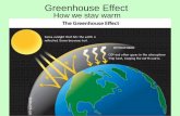 Greenhouse Effect - Mrs. Rasmussen Biologyrasmussenbiology.weebly.com/.../greenhouse_effect.pdf · 2018-09-04 · Greenhouse Effect •The Process by which atmosphere gases absorb