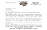 P.O. Box 21393 Non-Profit Tax Exempt Reno, Nevada 89515-1393 … · 2016-12-08 · Modernization Environmental Impact Statement (FRTC Modernization EIS). Upon review of the proposed