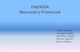 ENERGÍA Nacional y Provincialfing.uncu.edu.ar/catedras/industrias-2/trabajos-de... · 2012-06-11 · • Durante esta etapa de nacionalización y estatización sólo subsistió en