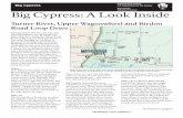 Big Cypress National Park Service U.S. Department of the Interior Big Cypress National … · 2018-03-20 · Big Cypress: A Look Inside Big Cypress National Park Service U.S. Department