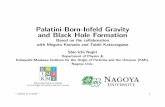 Palatini-Born-Infeld Gravity and Black Hole Formationishikawa/Numazu-Shizuoka/nojiri-22.pdf · we are considering many kinds of gravity theories beyond the Einstein gravity. Scalar-tensor