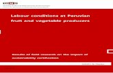 Labour conditions at Peruvian fruit and vegetable producers · Company 6 (Table) grapes Rainforest Alliance Ica Between 370 (low season) and 2,000 (harvesting season) Company 7 White