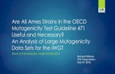 Are All Ames Strains in the OECD Mutagenicity Test ... All... The Ames Test Revisited Ames Test = Bacterial