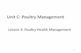 Unit C: Poultry Management · II. Sanitation is the most important poultry health management procedure, but there are other practices used in health management. A. Begin a disease
