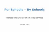 For Schools – By Schools...For Schools - By Schools This brochure provides details of the professional, school to school support and leadership development programmes which can be