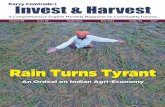 Rain Turns Tyrant - Karvy Commodities€¦ · ous year’s output. Chana production is pegged at 8.28 million tonnes against the previous year’s 9.53 million tonnes. The output