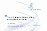 Topic 1: Patent landscaping, mapping & 2016-12-28¢  Topic 1: Patent landscaping, mapping & analytics