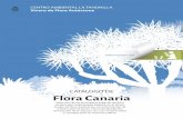 CATÁLOGO DE Flora Canaria · 2016-04-26 · Selección de las principales especies de flora canaria que usted puede adquirir en el Vivero Insular de Flora Autóctona, con información
