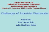 ANEAS WORKSHOP ON Industrial Wastewater Treatment: … · 2015-01-08 · Industrial wastewater characteristics Industry pH TSS mg/l BOD mg/l COD Mg/l Miscellaneous constituents Pollutional