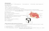Complications of ventilation tubes - Nassem Talaatnassemtalaat.com/faculty/Pharynx/Pharynx.pdf · 2010-09-29 · M/P sinusoidal spaces devoid of muscular coat, bundles of collagen