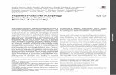 Impaired Podocyte Autophagy Exacerbates Proteinuria in ... · Exacerbates Proteinuria in Diabetic Nephropathy Diabetes 2016;65:755–767 | DOI: 10.2337/db15-0473 Overcoming refractory