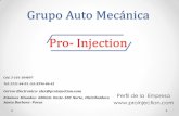 Grupo Auto Mecánica Pro- Injection · Limpieza de inyectores por ultrasonido. Mecánica total de vehículos en versión: U.S.A, Europeo, Japonés y Coreano. Cambios de aceite y filtros.