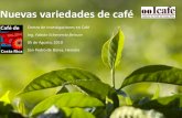 Nuevas variedades de café · 2016-07-24 · mayor del 82%, y sobre zaranda 17/64 un 10% superior al Catuaí. Características Agronómicas de HF1 Seleccionados • Adaptabilidad