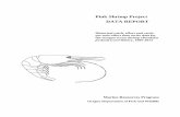Pink Shrimp Project DATA REPORT...Pink Shrimp Project . DATA REPORT. Historical catch, effort and catch - per-unit-effort time series data for the Oregon ocean shrimp (Pandalus jordani)
