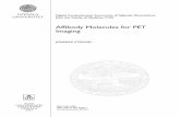 Affibody Molecules for PET Imaging844633/FULLTEXT01.pdf · Paper II. The aim was to compare the biodistribution of 68Ga- and 111In-labelled HER2-targeting Affibody molecules containing