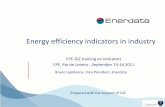 Energy efficiency indicators in industry...Energy efficiency indicators in industry Bruno Lapillonne, Vice President, Enerdata EPE-GIZ training on indicators EPE, Rio de Janeiro ,