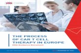 THE PROCESS OF CAR T CELL THERAPY IN EUROPE · 2019-06-18 · CAR T cell therapy, with a focus on European professionals. Those who might have a particular interest in CAR T cell