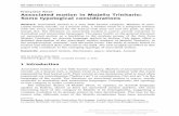 Associated motion in Mojeño Trinitario: Some … Associated...Françoise Rose Associated motion in Mojeño Trinitario: Some typological considerations Abstract: Associated motion