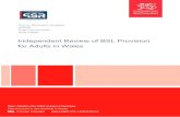 Independent Review of BSL Provision for Adults in …...Independent Review of BSL Provision for Adults in Wales Authors: Rhodri Bowen and Dr Duncan Holtom Bowen, R, Holtom D, (2020).