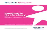 Paediatric Nephrology - GMC · 2018-11-28 · This document outlines the syllabus to be used by doctors completing completing Level 3 Paediatric Nephrology training in the United