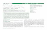 Trabecular Structural Pattern of Femur from Perinatal Food … · 2018-08-09 · No. 3001 Queretaro, Qro, Mexico, CP 76230. Abstract. Male rats control (C) and food restricted (R)