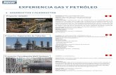 EXPERIENCIA GAS Y PETRÓLEO - Sepconsepcon.net/wp-content/uploads/2019/08/Experiencia-Gas-y...• Desmontaje de puente colgante de acero estructural de 600 m. sobre el río Camisea