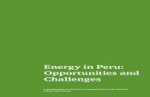 Energy in Peru: Opportunities and Challenges...Energy in Peru: Opportunities and Challenges A Working Paper of the Americas Society/Council of the Americas Energy Action Group Uniting