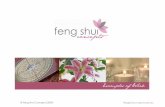 FSC Examples of work - Feng Shui Masters and Feng Shui ...€¦ · Traditional Feng Shui Analysis fengshuiconcepts.com.au • Traditional Feng Shui involves an analysis of the floor