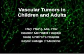 Vascular Tumors in Children and Adults - Thuy Phung HSCP talk...ISSVA classification for vascular anomalies (Approved at the 20th ISSVA Workshop, Melbourne, April 2014) Vascular anomalies