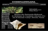 COSSMANNIANA - Freefossile1.free.fr/fossiles/lariey_2001_RG.pdf · 4 Lozouet, Lesport & Renard COSSMANNIANA ABRIDGED ENGLISH VERSION The outcrop of Lariey∗ is located at Saucats,