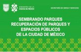 SEMBRANDO PARQUES RECUPERACIÓN DE PARQUES Y ESPACIOS PÚBLICOS DE LA CIUDAD DE … · 2019-09-13 · OBJETIVOS • Ampliar y mejorar la superficie de áreas verdes por habitante