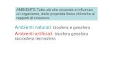 Ambienti naturali Ambienti artificiali : biosfera geosfera sociosfera …lnx.istitutoserpieri.gov.it/MANUALE TOLOMELLI/agro... · 2011-11-07 · sociosfera tecnosfera. AGROECOSISTEMA