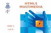 HTML5 MULTIMEDIA - vsb. HTML5 Multimedia In HTML5, you can embed audio or video using native HTML tags audio and video, and if the browser supports the tags, it will give users controls