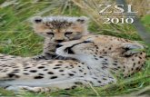 Zoological Society of London (ZSL) - 2010 · 2014-02-18 · introduction The Year in review 2010 3 None of these achievements would have been possible without our staff, supporters,