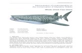 Convention on the Conservation of Migratory … · Web viewis the world’s largest living fish (