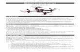 MiDRONE VISION 260 WiFi FPV · 2018-11-13 · synchronization and keeps the drone in front of him during the flight. 1. FLY DIRECTION SETTING Before the flight, place the drone in