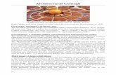 Matrimandir’s second level - Research · Matrimandir its spherical shape and supports its outer shell and inner „skin‟. These beams were cast in Matrimandir workshop and then