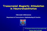Transcranial Magnetic Stimulation in Neurorehabilitationneuro-it.net/pdf_dateien/summer_2004/Presentation.pdf · Associative long-term potentiation • Stimulation of peripheral sensory