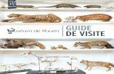 guide de visite - Rouen...Pouchet, le Muséum ouvre ses portes au grand public dès 1834, une démarche particulièrement innovante pour l’époque. Félix-Archimède Pouchet et ses