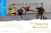 Match de handball Bessines · • Académie des ânes d’Ambazac Animations Marc MACHINAUD - 07 78 28 91 48 • Ambazac accueil Ateliers manuels, jeux, rando Annie RIVET - 05 55