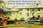 Urban Soils Remediation and Use of Organic Amendments · Urban Soils Remediation and Use of Organic Amendments Nina Bassuk, Miles Schwartz Sax, Cornell University