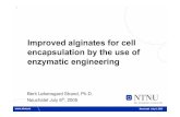 Improved alginates for cell encapsulation by the …1 Improved alginates for cell encapsulation by the use of enzymatic engineering Berit Løkensgard Strand, Ph.D. Neuchatel July 6th,