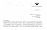 Biología de la leucemia mieloide crónica · 294 HEMATOLOGÍA • Volumen 21 Nº Extraordinario • XXIII Congreso Argentino de Hematología: 294-307, 2017 Biología de la leucemia