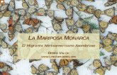La Mariposa Monarca - Las Ecomujereslasecomujeres.org/files/Mariposa_monarca_con_Notas.pdf\爀屲Al llegar la primavera, las monarcas empiezan a aparearse, volando hacia el norte mientras