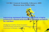GCIRC General Assembly, February 2009 Manesar near Delhi ...gcirc.org/fileadmin/documents/Bulletins/B25/2__FRIEDT.pdf · GCIRC General Assembly, February 2009 Manesar near Delhi,
