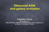 Obscured AGN and galaxy evolution - NASA · Obscured AGN and galaxy evolution Fabrizio Fiore Many thanks to HELLAS2XMM, GOODS, COSMOS teams and in particular to M. Brusa, A. Comastri,