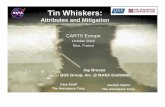 Tin Whiskers...October 17, 2002 Tin Whiskers: Attributes and Mitigation 30 Some LIMITATIONS of Mitigation Strategies--Conformal Coat Conformal Coat • Air Bubbles Enable Path For