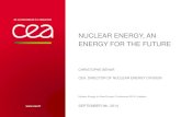 NUCLEAR ENERGY, AN ENERGY FOR THE FUTURE · Transmutation capability Fuel handling in sodium Open options Core design Energy conversion system -Reference water / steam -Alternative